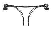 brasilianlace