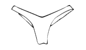 vbrasilian